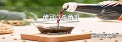 醋可以杀菌吗
