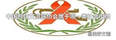 中国预防艾滋病协会属于哪一类社会组织