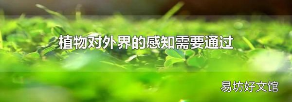 植物对外界的感知需要通过