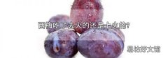西梅吃了去火的还是上火的?