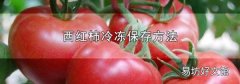 西红柿冷冻保存方法