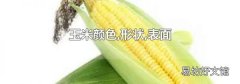 玉米颜色,形状,表面