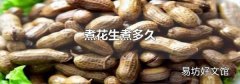 煮花生煮多久