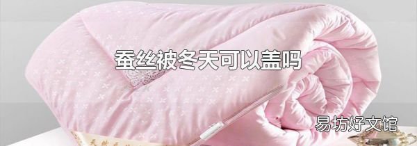 蚕丝被冬天可以盖吗