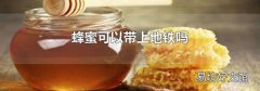 蜂蜜可以带上地铁吗