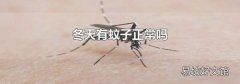 冬天有蚊子正常吗