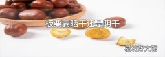 板栗要晒干还是阴干
