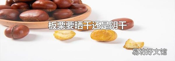 板栗要曬干還是陰干