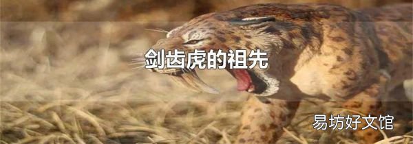 劍齒虎的祖先
