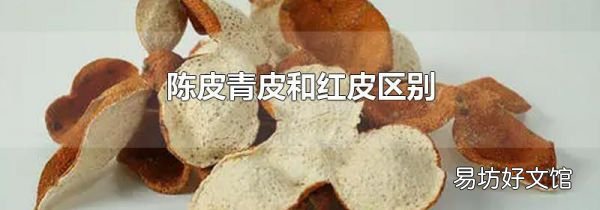 陳皮青皮和紅皮區(qū)別
