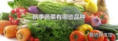 秋季蔬菜有哪些品种