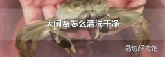 大闸蟹怎么清洗干净