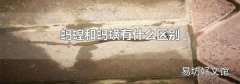 蚂蝗和蚂蟥有什么区别