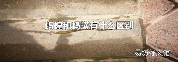 螞蝗和螞蟥有什么區(qū)別
