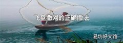 飞盘撒网的正确撒法