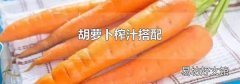胡蘿卜榨汁搭配