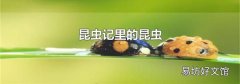 昆蟲(chóng)記里的昆蟲(chóng)