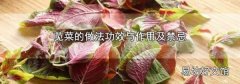 苋菜的做法功效与作用及禁忌