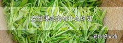 女性喝毛尖有什么坏处