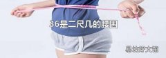 36是二尺几的腰围