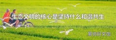 生态文明的核心是坚持什么和谐共生