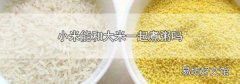 小米能和大米一起煮粥吗