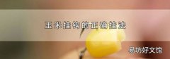 玉米挂钩的正确挂法
