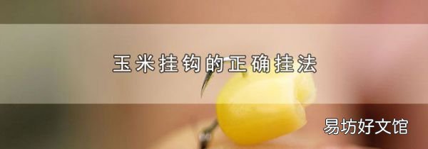 玉米挂钩的正确挂法
