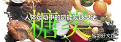 人体运动中的功能物质包括