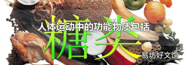 人体运动中的功能物质包括