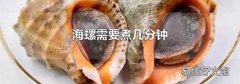 海螺需要煮几分钟
