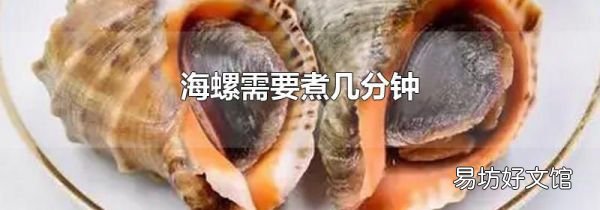 海螺需要煮几分钟