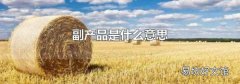 副产品是什么意思