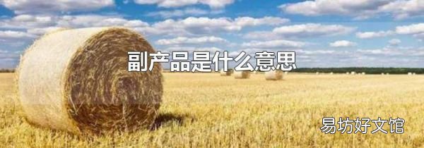 副产品是什么意思