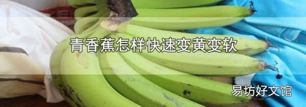 青香蕉怎样快速变黄变软