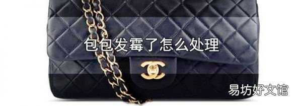 包包发霉了怎么处理