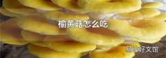 榆黄菇怎么吃
