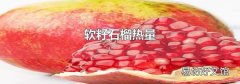 软籽石榴热量