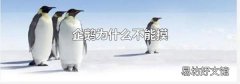 企鹅为什么不能摸