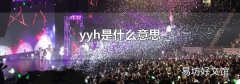 yyh是什么意思