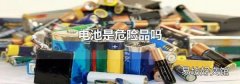 电池是危险品吗