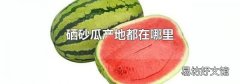 硒砂瓜产地都在哪里