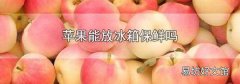苹果能放冰箱保鲜吗