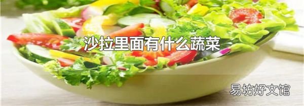 沙拉里面有什么蔬菜