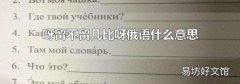 呀留不留几比呀俄语什么意思
