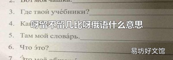呀留不留几比呀俄语什么意思