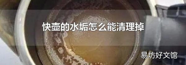 快壶的水垢怎么能清理掉