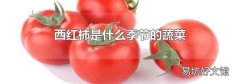 西红柿是什么季节的蔬菜
