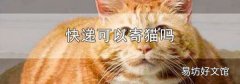 快递可以寄猫吗