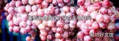 葡萄泡白酒可以储存多长时间